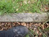 image of grave number 776564